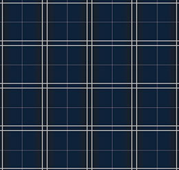 Blue Plaid Pattern Vector Images (over 18,000)